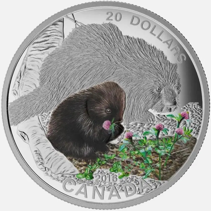 [BUNJANG] 2016 Canada Baby Animals: Porcupine 1 oz 99.99% Silver Coin / 2016 캐나다 Baby Animals: 포르쿠핀 1온스 9999% 은화