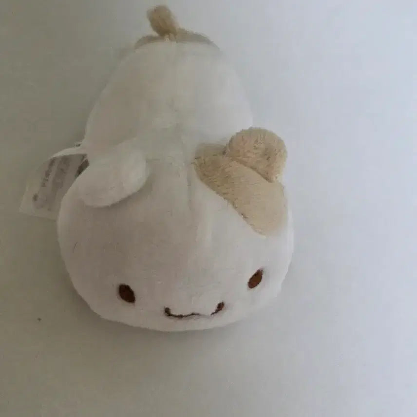 [BUNJANG] Sanrio Muffin Puripuri Series / 산리오 머핀 푸리푸리 시리즈
