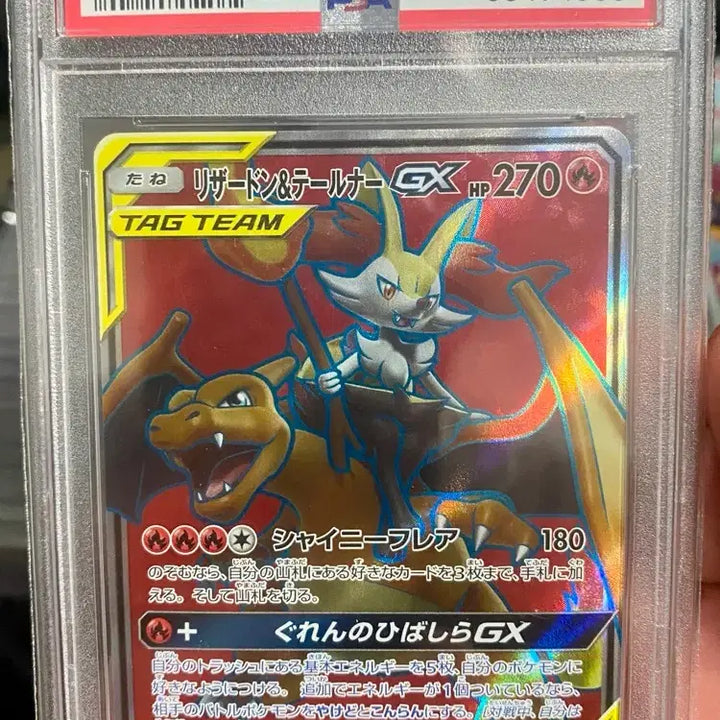 [BUNJANG] Charizard &amp; Blastoise Sun &amp; Moon Japanese PSA 10 / 리자몽&amp;테르나 썬문 포켓몬 일판 psa10
