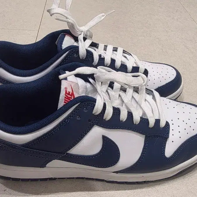 [BUNJANG] Nike Dunk Low "Orca" Valerian Blue (270) / 나이키 덩크로우 범고래 270 발레리안블루