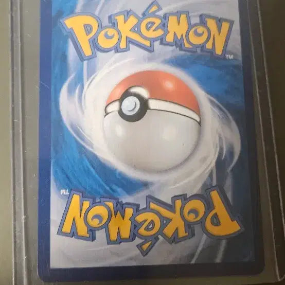 [BUNJANG] Eevee V, Pikachu V Pokemon Card Set / 포켓몬 카드 이브이 V,피카츄 v