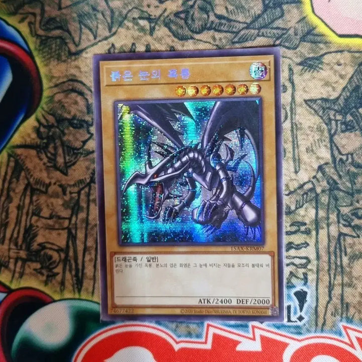 [BUNJANG] Yu-Gi-Oh! Red-Eyes Black Dragon 1st Edition Illustration Cross Secret Rare (15AX-KRM07) / 붉은눈의흑룡 초판 일러스트 십자 시크릿 레어 (15AX-KRM07)