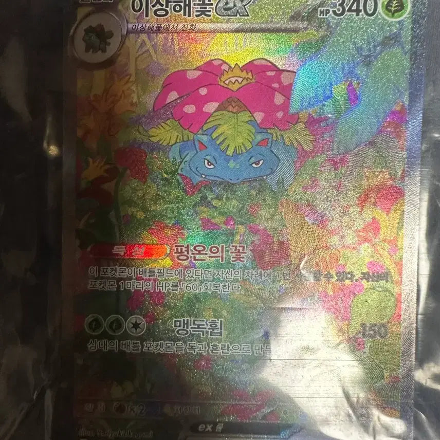 [SOLD OUT] 포켓몬 카드 이상해꽃 ex