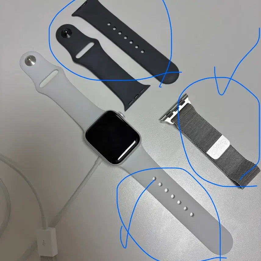 [BUNJANG] Apple Watch SE Genuine Straps (White, Black, Metal Silver) / 애플워치 SE 정품 스트랩 총 3가지