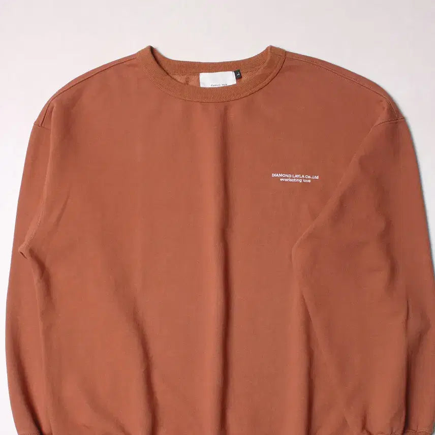 [BUNJANG] Diamond Layla Relaxed Fit Sweatshirt L / 100 다이아몬드레이라 스웻셔츠 릴렉스핏 996