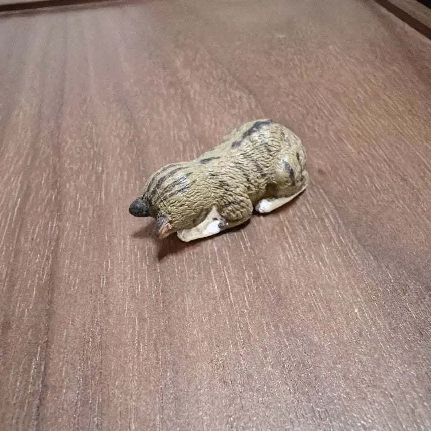 [BUNJANG] Drowsy Cat Gacha Figure / 엎드린고양이가챠