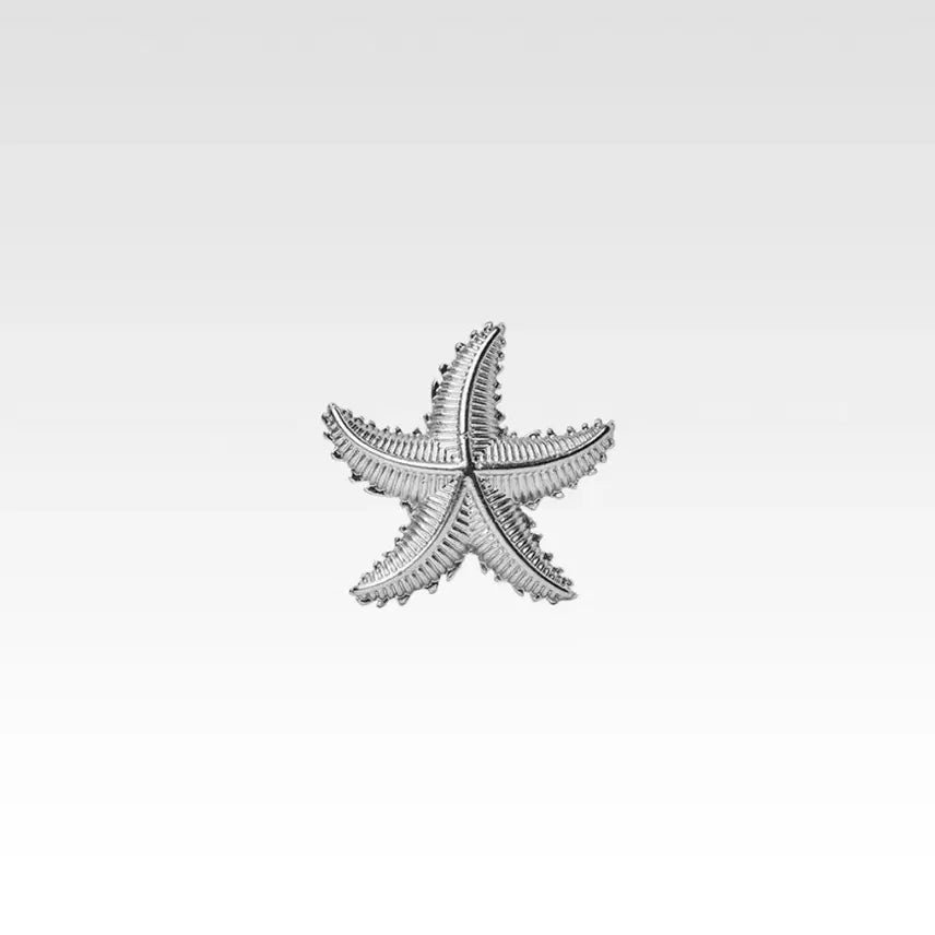 [BUNJANG] Afterpray Starfish Brooch Silver / 애프터프레이 스타피쉬 브로치 실버