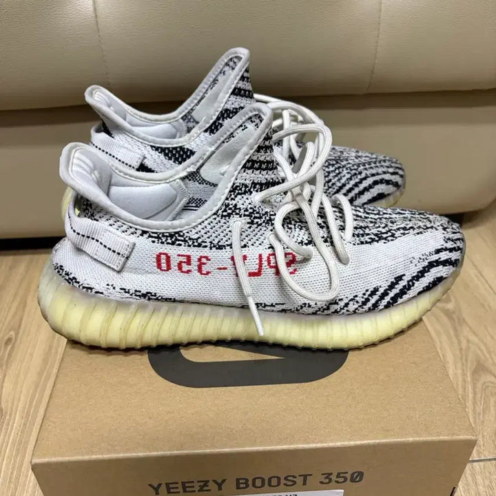 [BUNJANG] Adidas Yeezy Boost 350 V2 Zebra / 이지부트스 350 V2 지브라