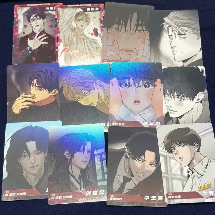 [BUNJANG] AR Trading Card Set / 레진공 레진수 ar 트레이딩 카드 애욕 유원불변 향경 스페셜 일반 양도