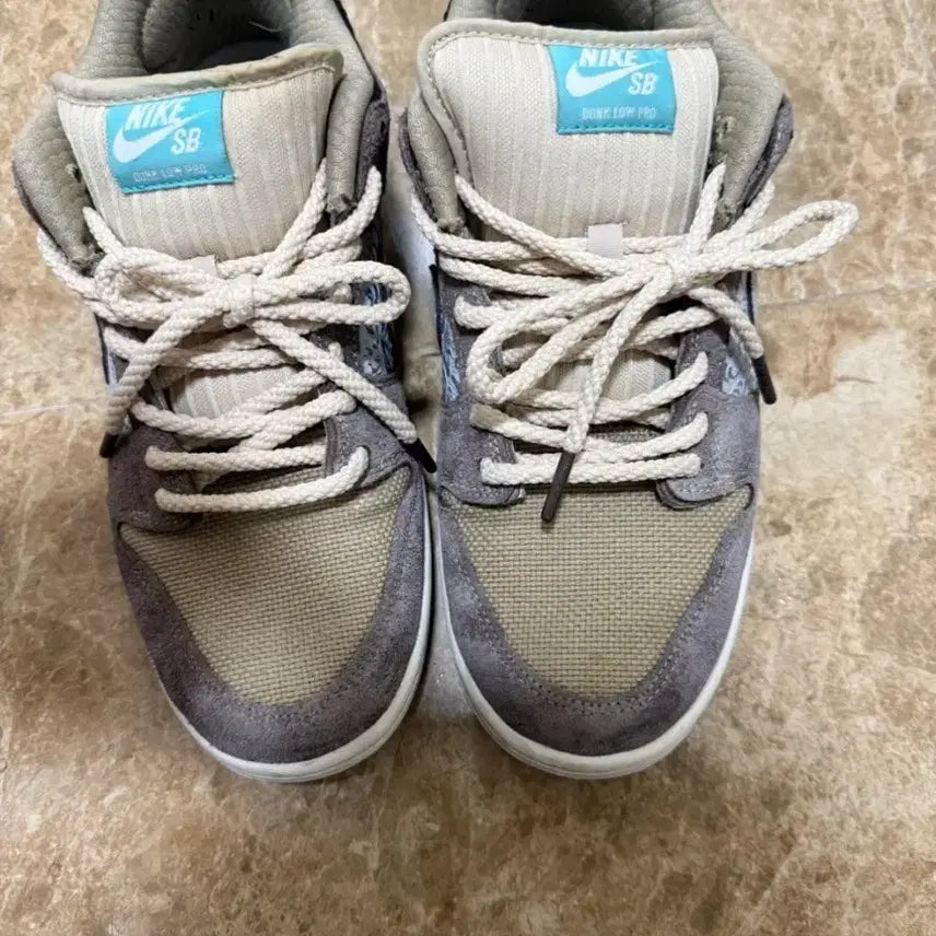 [BUNJANG] Nike SB Dunk Low Pro Big Money Saving Sneakers / 나이키 SB 덩크 로우 프로 빅 머니 세이빙