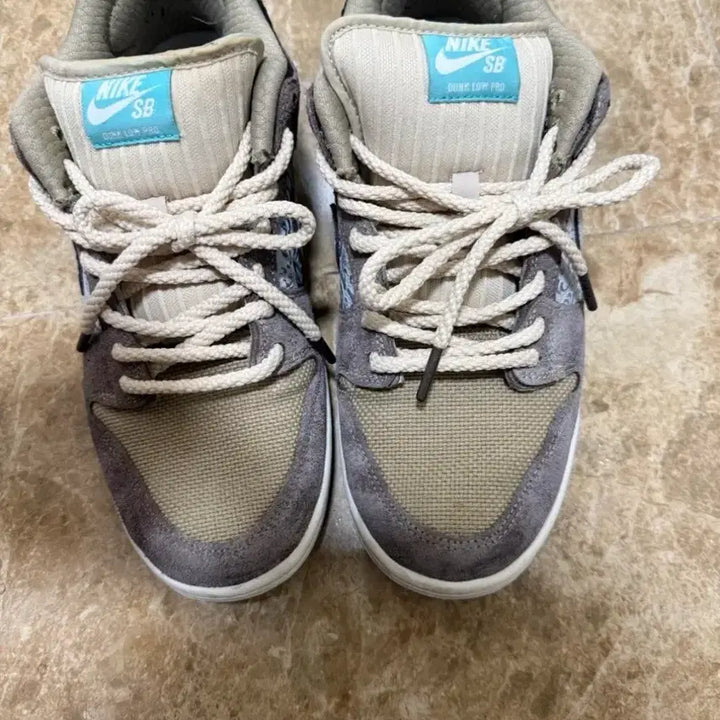 [BUNJANG] Nike SB Dunk Low Pro Big Money Saving Sneakers / 나이키 SB 덩크 로우 프로 빅 머니 세이빙