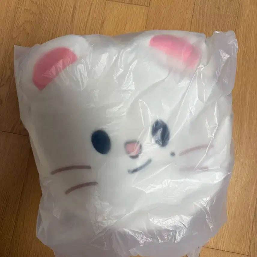 [BUNJANG] Stray Kids EAATW Popup Shoulder Bag Jinyret / Straykids 스트레이키즈 스키즈 EAATW 팝업 숄더백 지니렛
