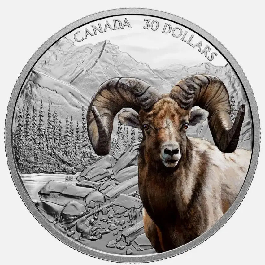 [BUNJANG] Canada Bighorn Sheep 2 Troy Ounce .9999 Fine Silver Coin / 캐나다 산악 지대 빅혼 양 2트로이 온스 999.9% 순은 실버 코인