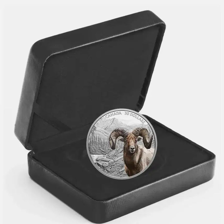 [BUNJANG] Canada Bighorn Sheep 2 Troy Ounce .9999 Fine Silver Coin / 캐나다 산악 지대 빅혼 양 2트로이 온스 999.9% 순은 실버 코인