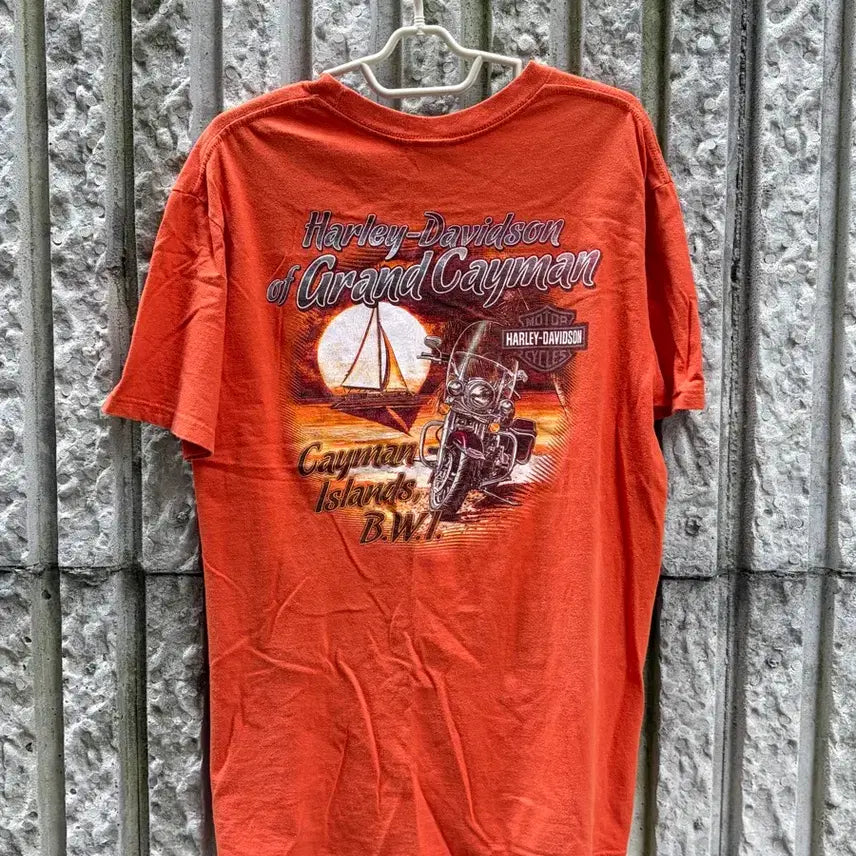 [BUNJANG] Harley-Davidson Orange Short-Sleeve T-Shirt XL / 할리데이비슨 반팔티 [XL]