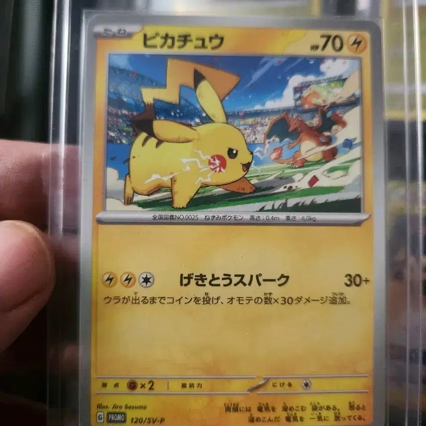 [BUNJANG] Japanese Limited Carddass Promo Pikachu Card / 일판 한정 카드짐 프로모 피카츄카드