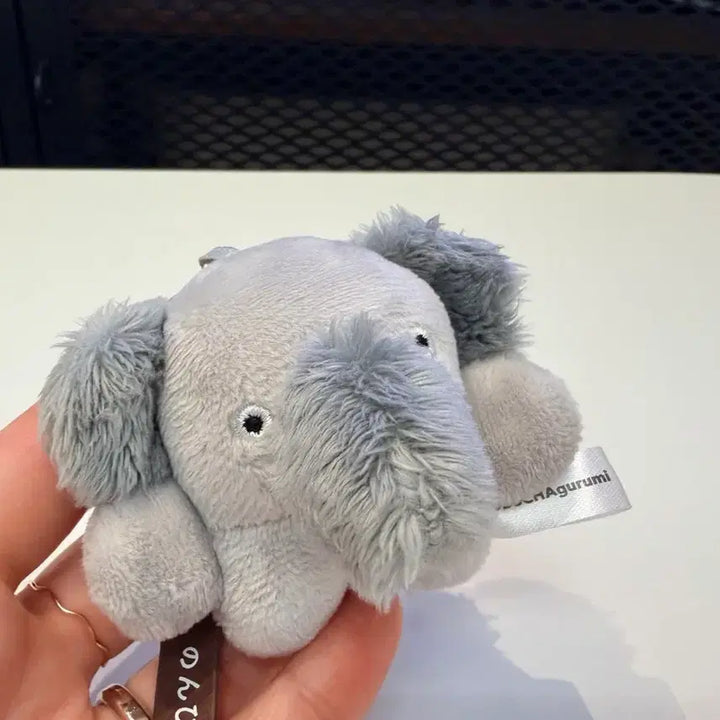 [BUNJANG] Bucha Gurumi Mascot Collection Chain Doll Elephant / 캡슐토이 부차구루미 마스코트 컬렉션 체인 인형 코끼리