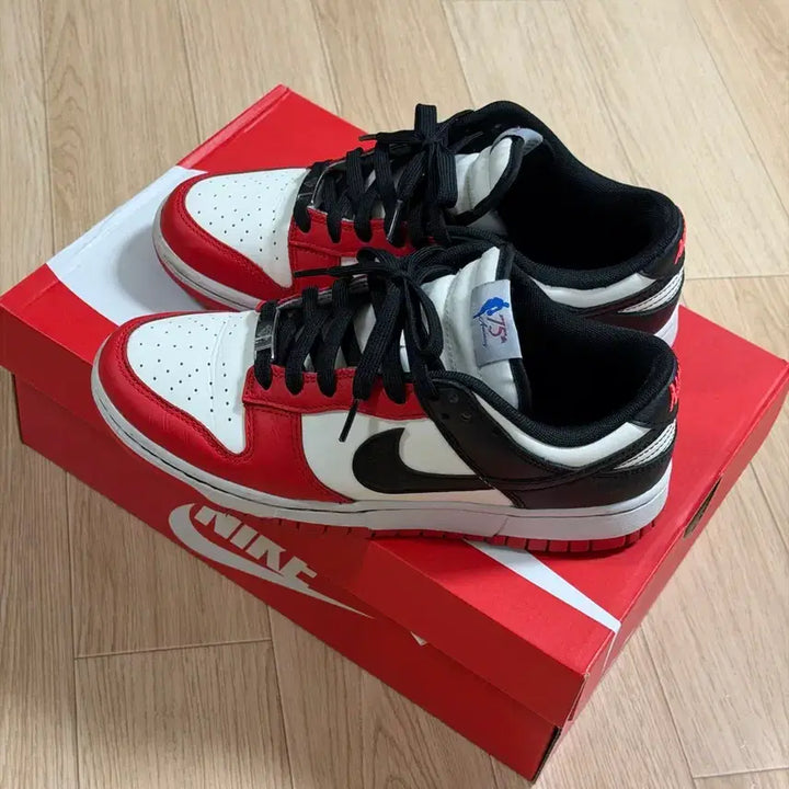 [BUNJANG] Nike Dunk Low Retro EMB Black and Chili Red / 나이키 덩크 로우