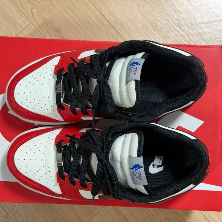 [BUNJANG] Nike Dunk Low Retro EMB Black and Chili Red / 나이키 덩크 로우