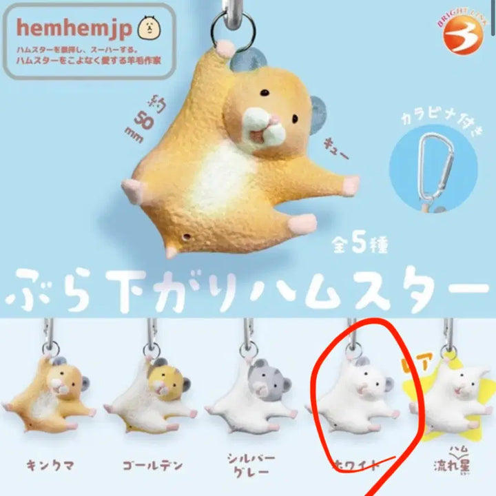[BUNJANG] Hanging Hamster Keychain Gacha / 매달린 매달려 햄스터 키링 가챠