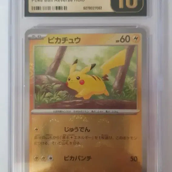 [BUNJANG] Pikachu CGC 10 Pristine Japanese Pokemon Card / 일판 몬스터볼 피카츄 cgc10 프리스틴 포켓몬 카드