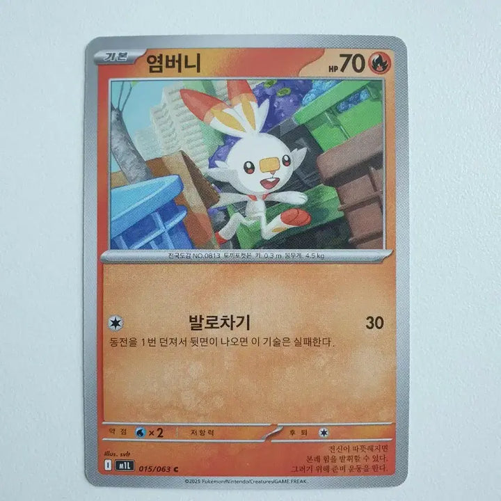 [BUNJANG] Scorbunny Pokemon Card / 염버니 포켓몬카드