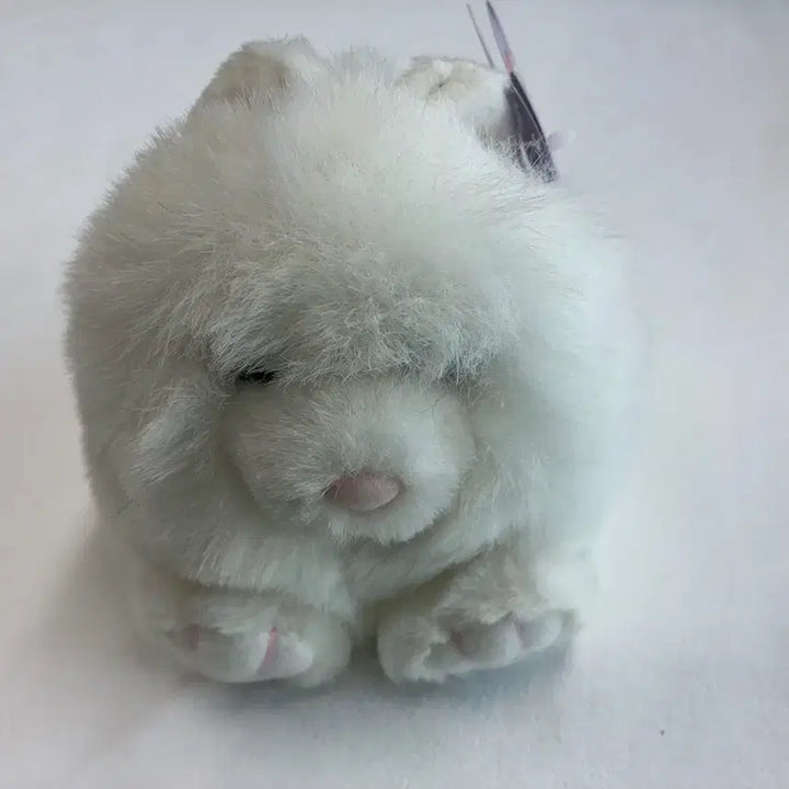 [BUNJANG] Puffkins Paws White Cat Plush Toy / Puffkins Paws 흰 고양이 인형