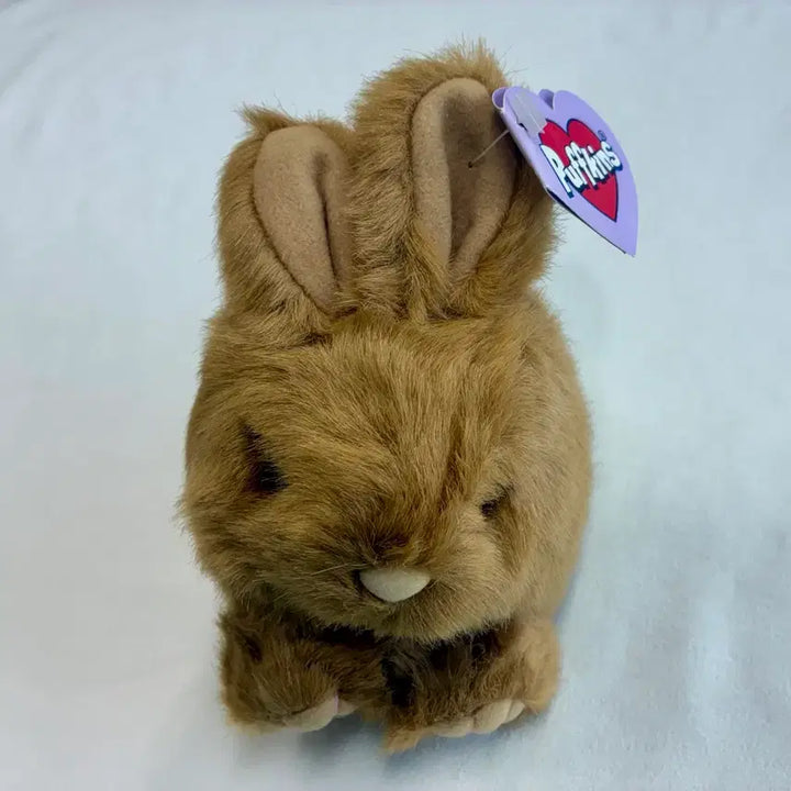 [BUNJANG] Puffkins Tibbs Eastern Cottontail Rabbit Plush / Puffkins Tibbs 동부 솜꼬리 토끼 인형