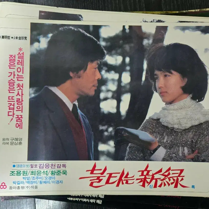 [BUNJANG] Burning Greenery (1959) Lobby Still - Jo Yong-won / 불타는 신록 / 조용원 /고전영화  극장 로비스틸