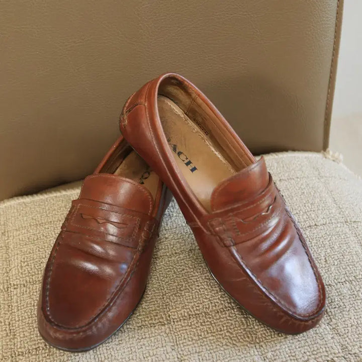 [BUNJANG] COACH Brown Leather Driving Loafers - US 8D (EUR 41 / KR 255) / 코치 COACH 브라운 가죽 드라이빙 로퍼