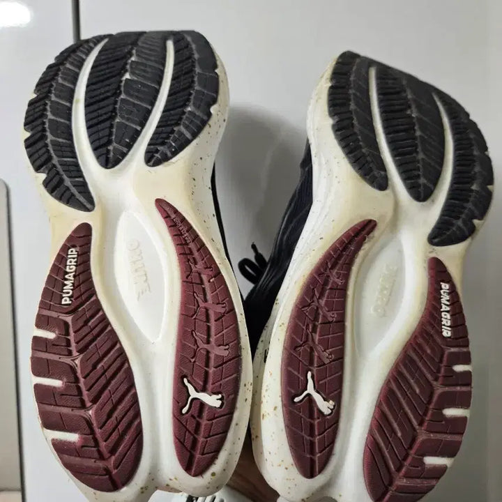 [BUNJANG] Puma Velocity Nitro 4 Seisky Running Shoes (260mm) / 푸마 벨로시티 나이트로4 세이스카이 260
