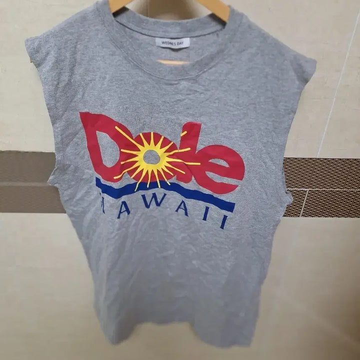 [BUNJANG] WEDNES DAY Gray Sleeveless T-Shirt (Size 105) / 