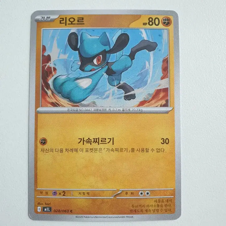 [BUNJANG] Lior Pokémon Card / 리오르 포켓몬카드