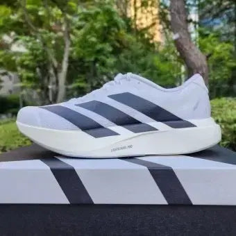 [BUNJANG] Adidas Adizero SL Evo Size 300 Running Shoes / 구매)아디제로 sl evo 300