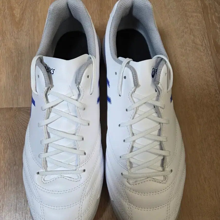 [BUNJANG] Asics DS Light Club TF Soccer Cleats (Size 270) / 아식스 DS 라이트 클럽 TF (270)