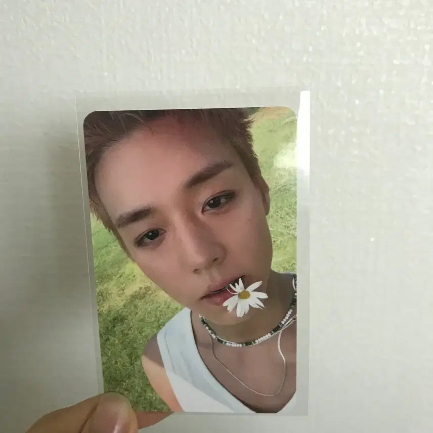 [BUNJANG] Park Ji Hoon Soundwave Popup POB Photocard / 박지훈 사운드웨이브 팝업 5만원 특전 포카 미공포