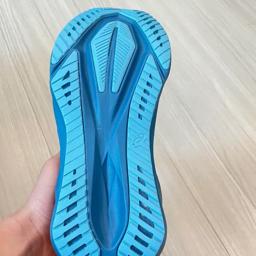 [BUNJANG] Asics NovaBlast 5 / 아식스 노바블라스트5 (사용x)
