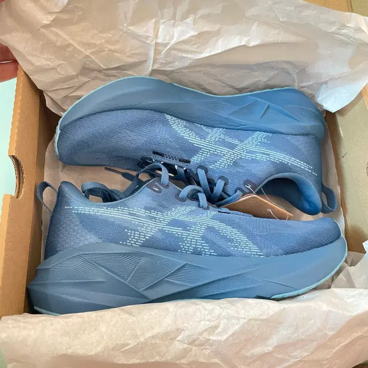 [BUNJANG] Asics NovaBlast 5 / 아식스 노바블라스트5 (사용x)