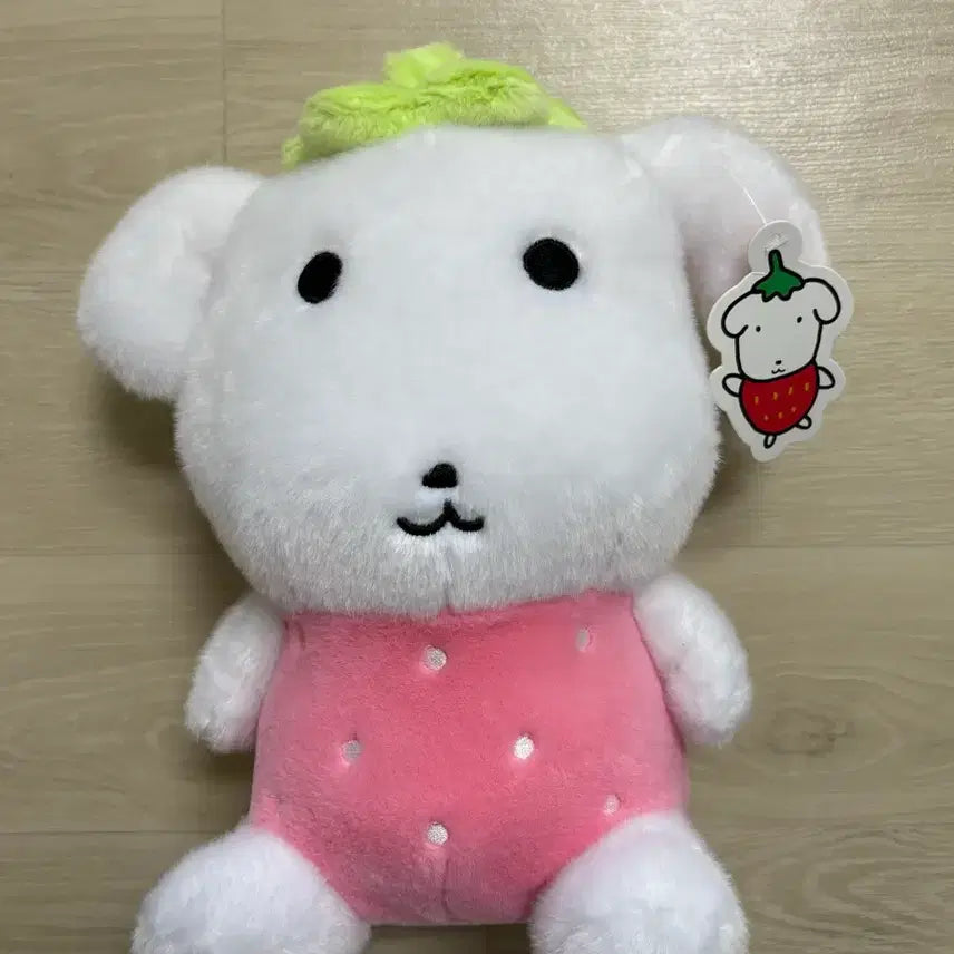 [BUNJANG] Ganadi Strawberry Medium Doll / 가나디 딸기 중형인형 새상품