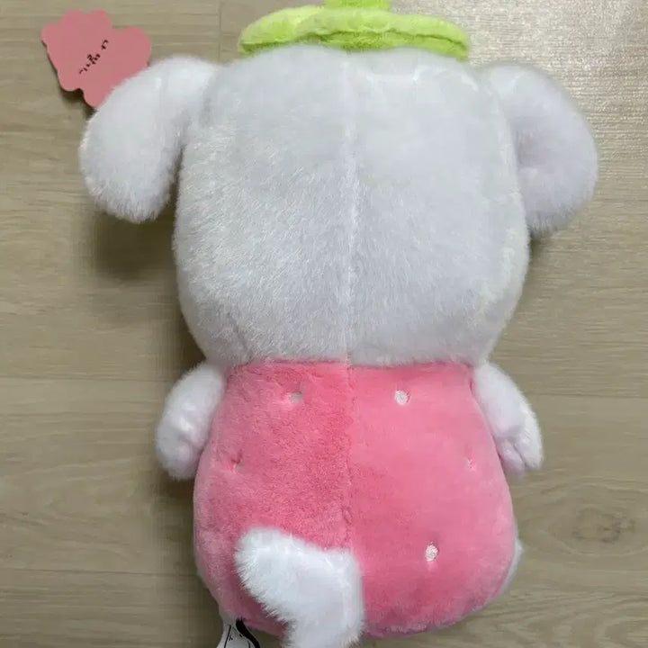 [BUNJANG] Ganadi Strawberry Medium Doll / 가나디 딸기 중형인형 새상품
