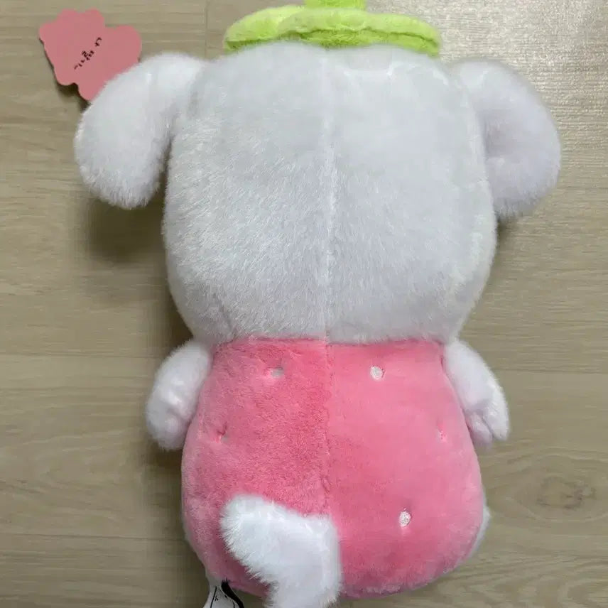 [BUNJANG] Ganadi Strawberry Medium Doll / 가나디 딸기 중형인형 새상품