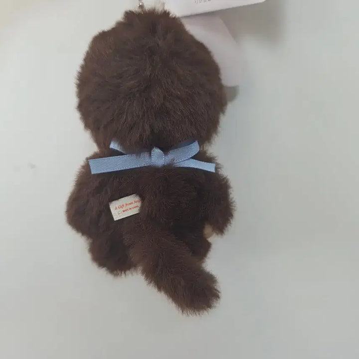 [BUNJANG] Bebe Chichi Boy Keychain / 베베치치 남아 키링