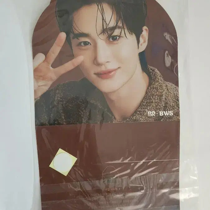[BUNJANG] Byun Woo Seok Baskin Robbins Back Wall Poster / 변우석 베스킨라빈스 백월