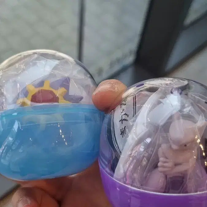 [SOLD OUT] 포켓몬 가챠 말을 듣지 않는다 뮤츠, 아쿠스타 일괄