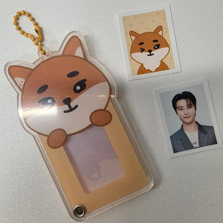 [BUNJANG] Day6 Decade Acrylic ID Holder Young K / 데이식스 decade 아크릴 아이디홀더 케 ke