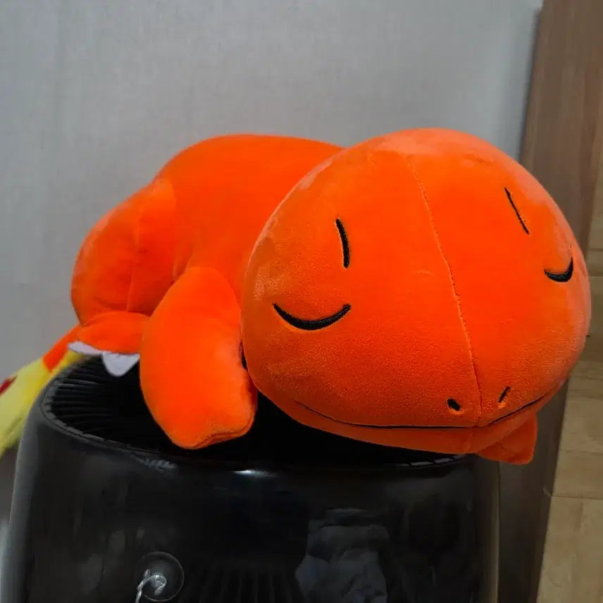 [BUNJANG] Pokemon Sleeping Charmander Plush Toy / 포켓몬 잠자는 파이리 인형