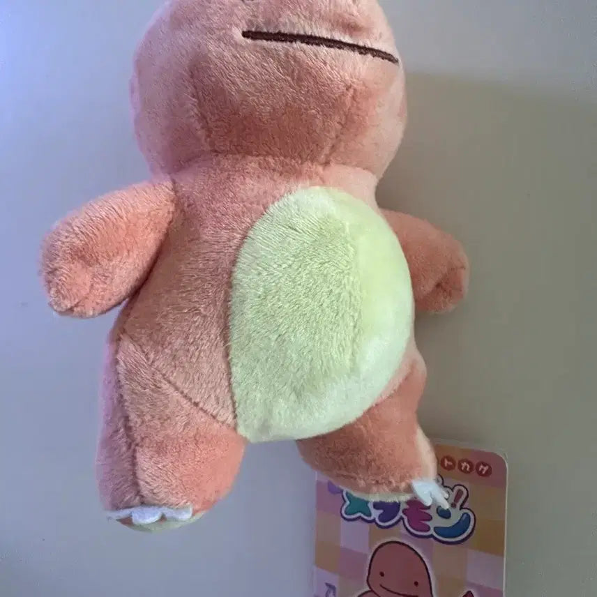[BUNJANG] Pokemon Transformation Metamon Plush / [반택포] 포켓몬 팝업 변신메타몽
