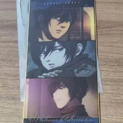 [BUNJANG] Attack on Titan Mikasa Ackerman Shikishi Standee / (원가1.2)진격의 거인 미카사 아커만 스탠드 색지
