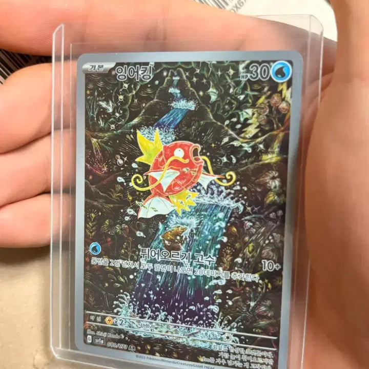 [BUNJANG] Magikarp AR Card / 잉어킹 ar