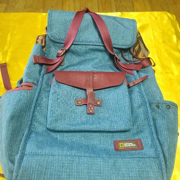 [BUNJANG] National Geographic Blue Backpack with Shock-Absorbing Padding / 내셔널지오그래픽 백팩 가방 블루:충격보충내장됨